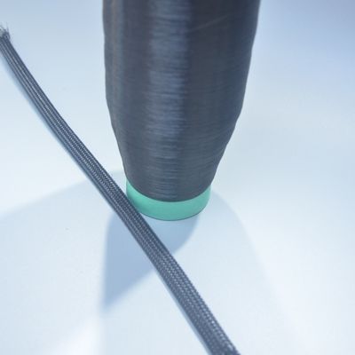 0.25 mm Monofilament de polyester noir PET Monofilament de fil Tressé à manches