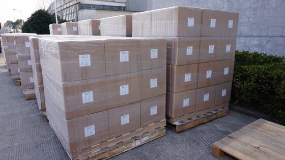 Fils de monofilament à tige 20D 30D de couleur vive Polyester Monofilament pour chaussettes Tricot de fils de monofilament